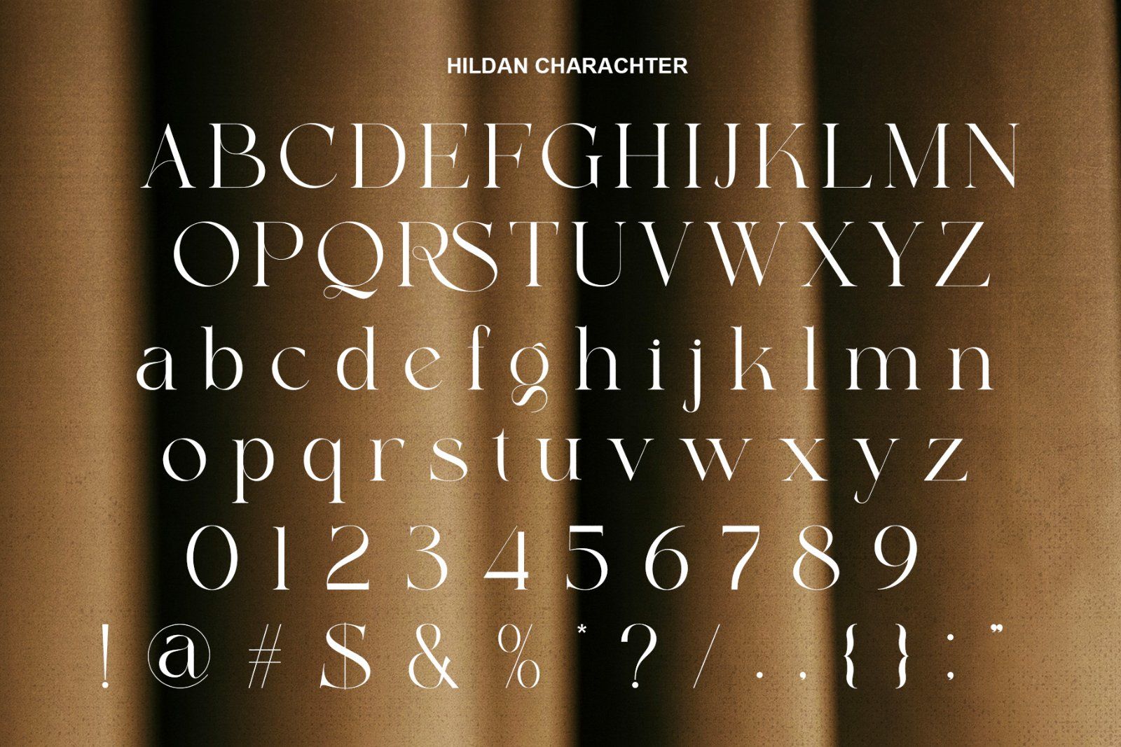 Hildan Modern Ligature Serif — image 6