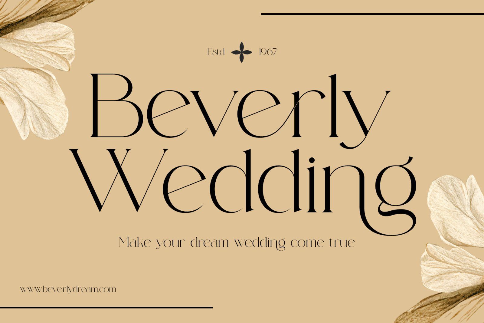 Blasing Aesthetic Serif Font — image 4