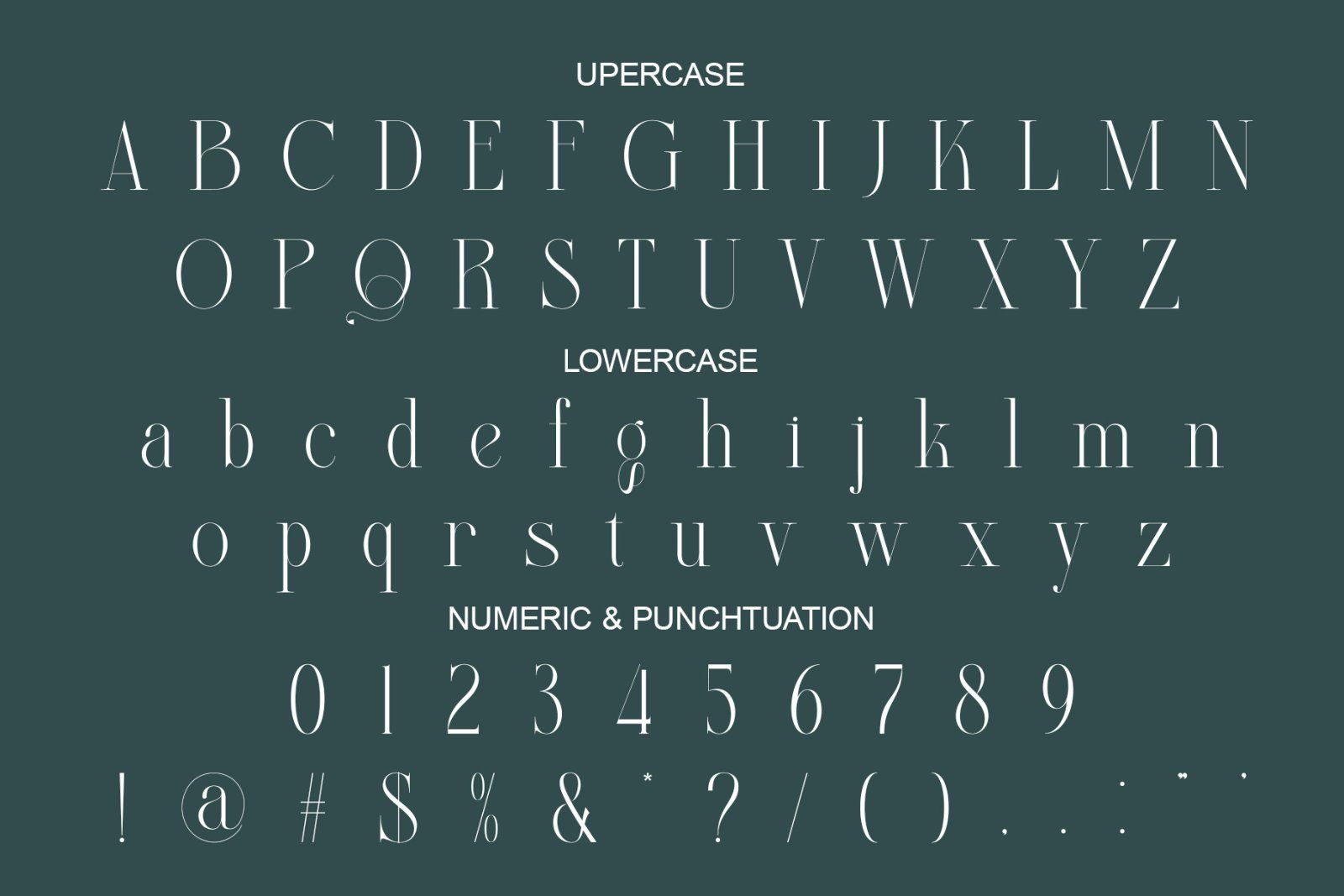 Beligat Elegant Ligature Serif — image 6