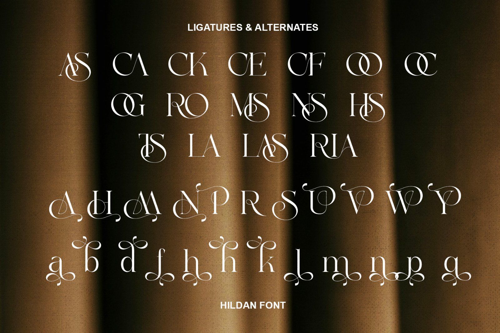 Hildan Modern Ligature Serif — image 7