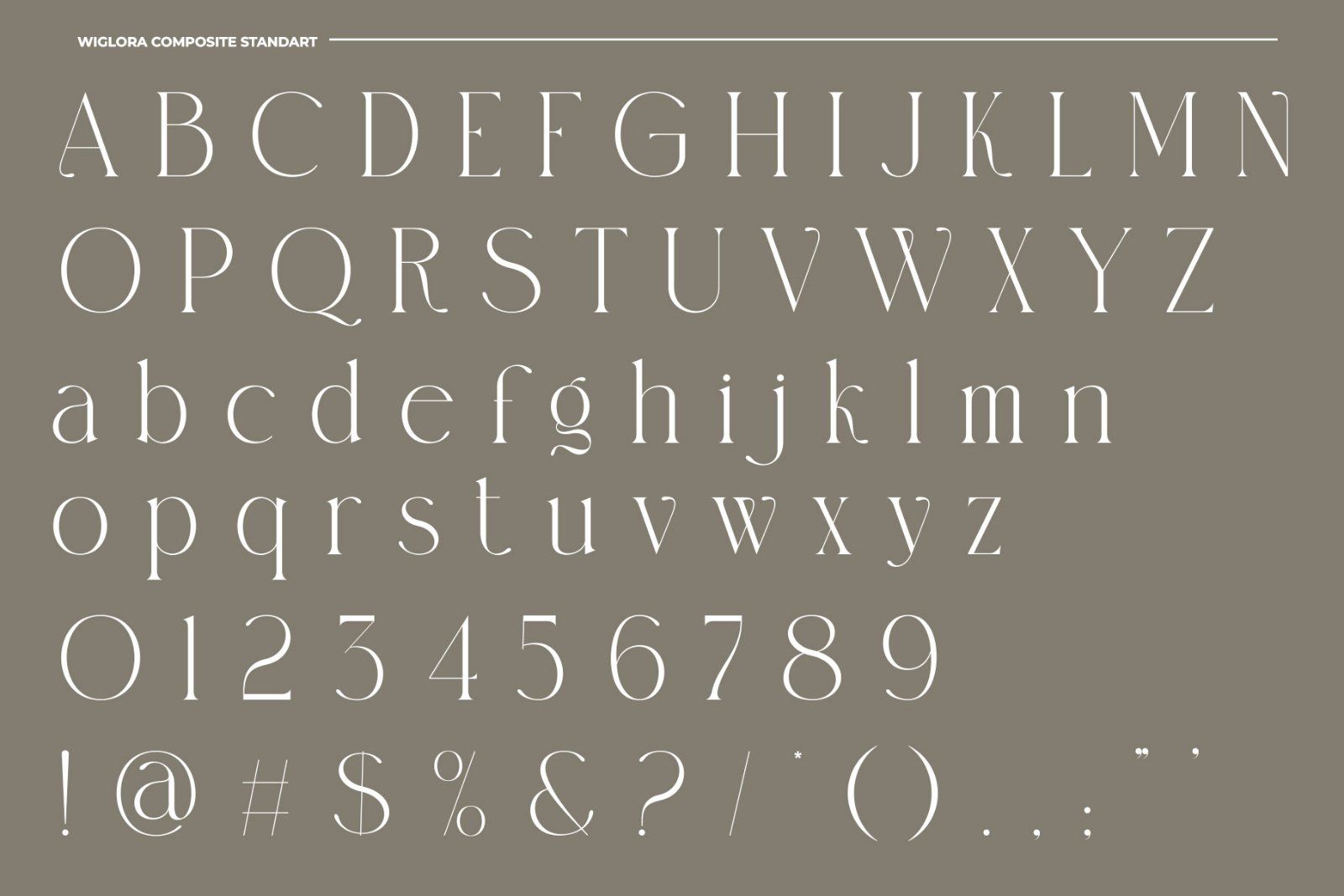 Wiglora Modern Ligature Serif — image 7