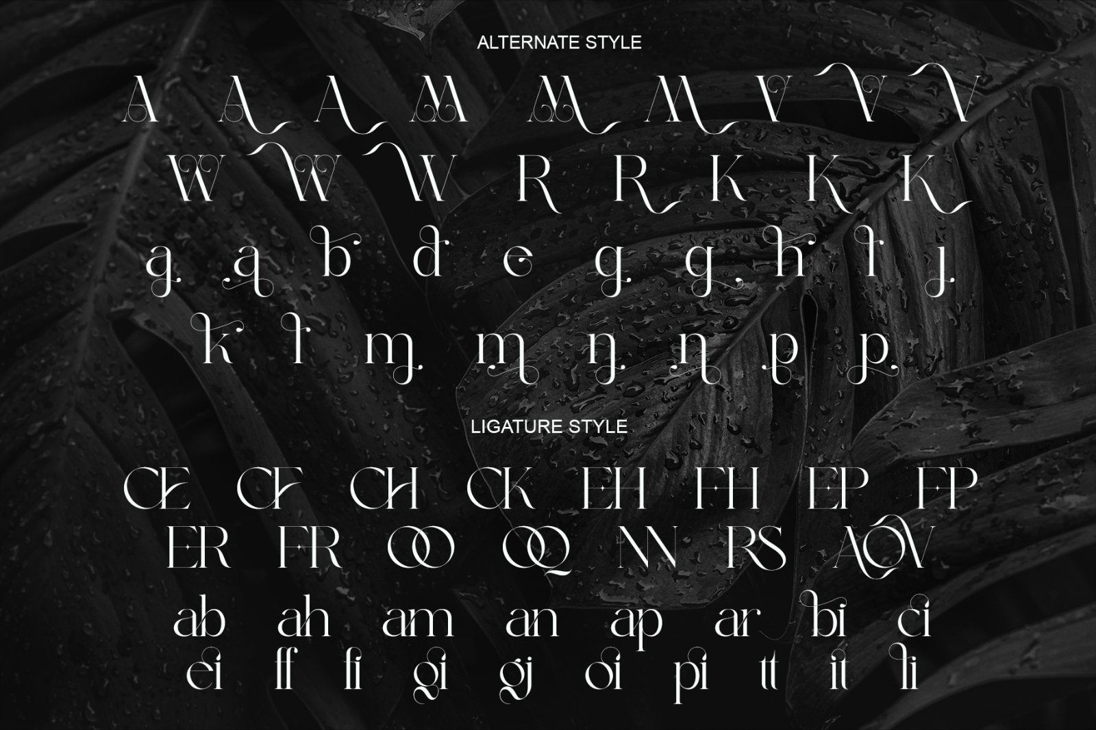 Garline Elegant Ligature Serif — image 6