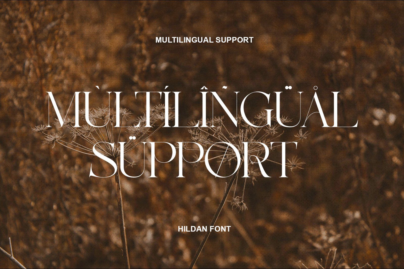 Hildan Modern Ligature Serif — image 8