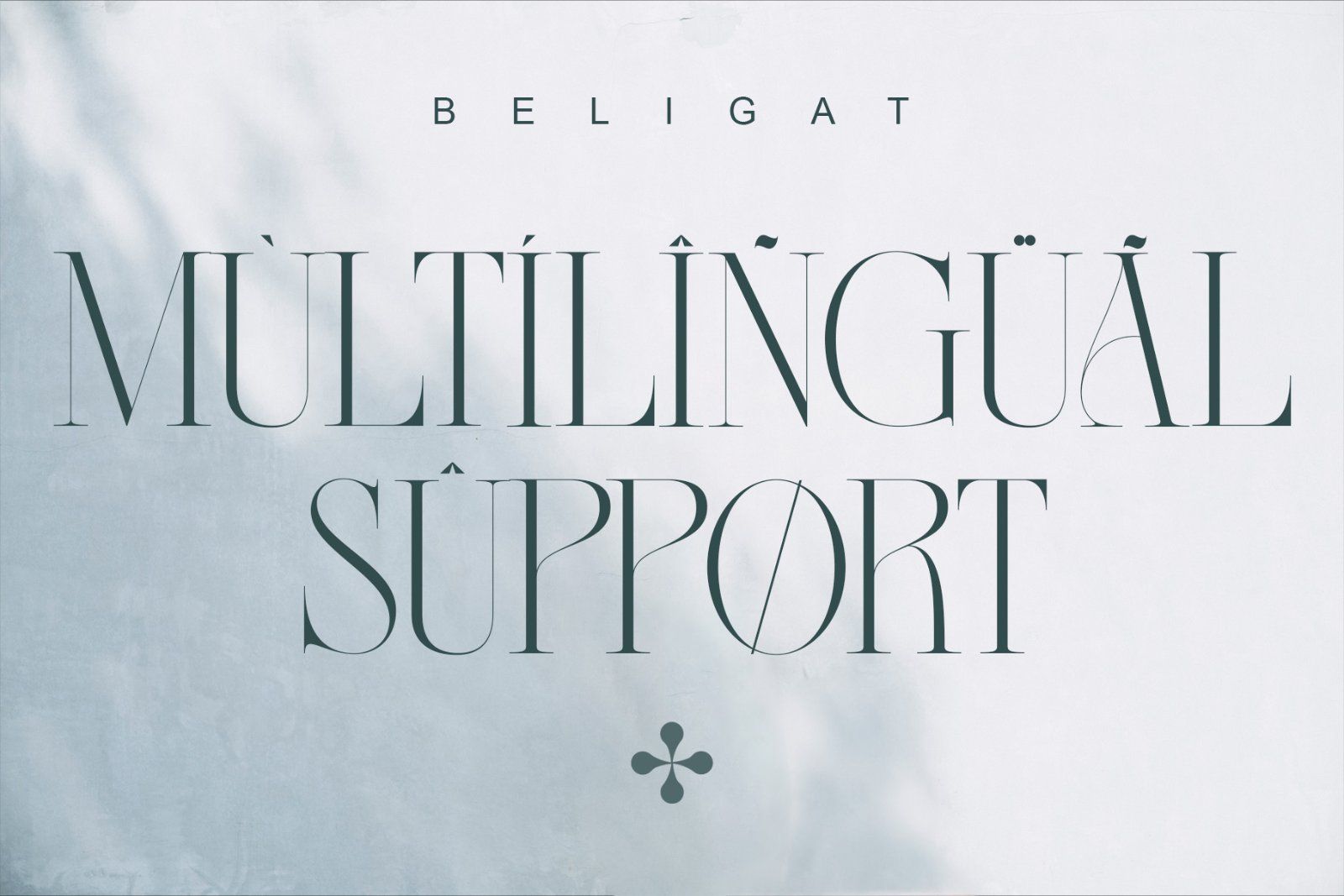 Beligat Elegant Ligature Serif — image 8