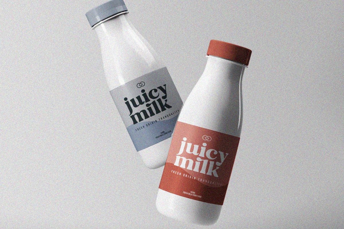 Folker Typeface — image 2