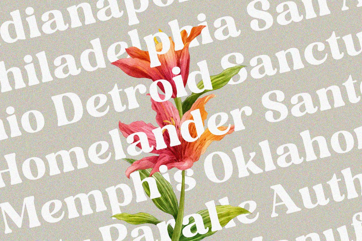 Folker Typeface — image 3