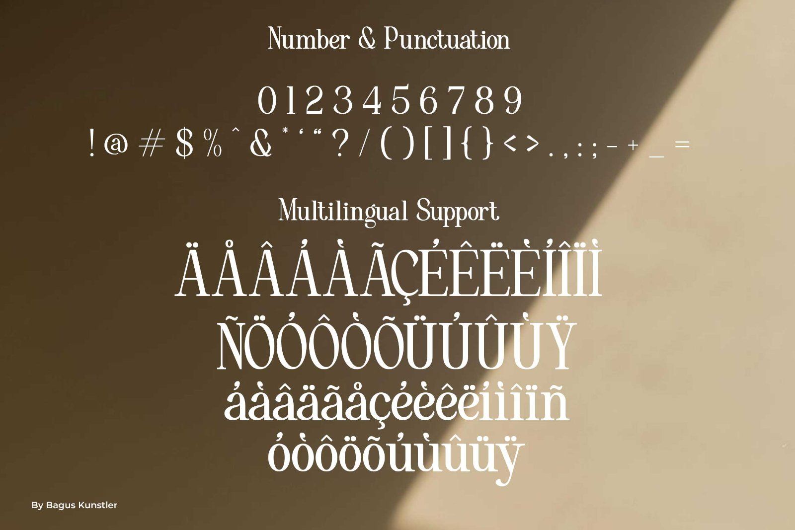 Vorina - Retro Serif Font — image 10