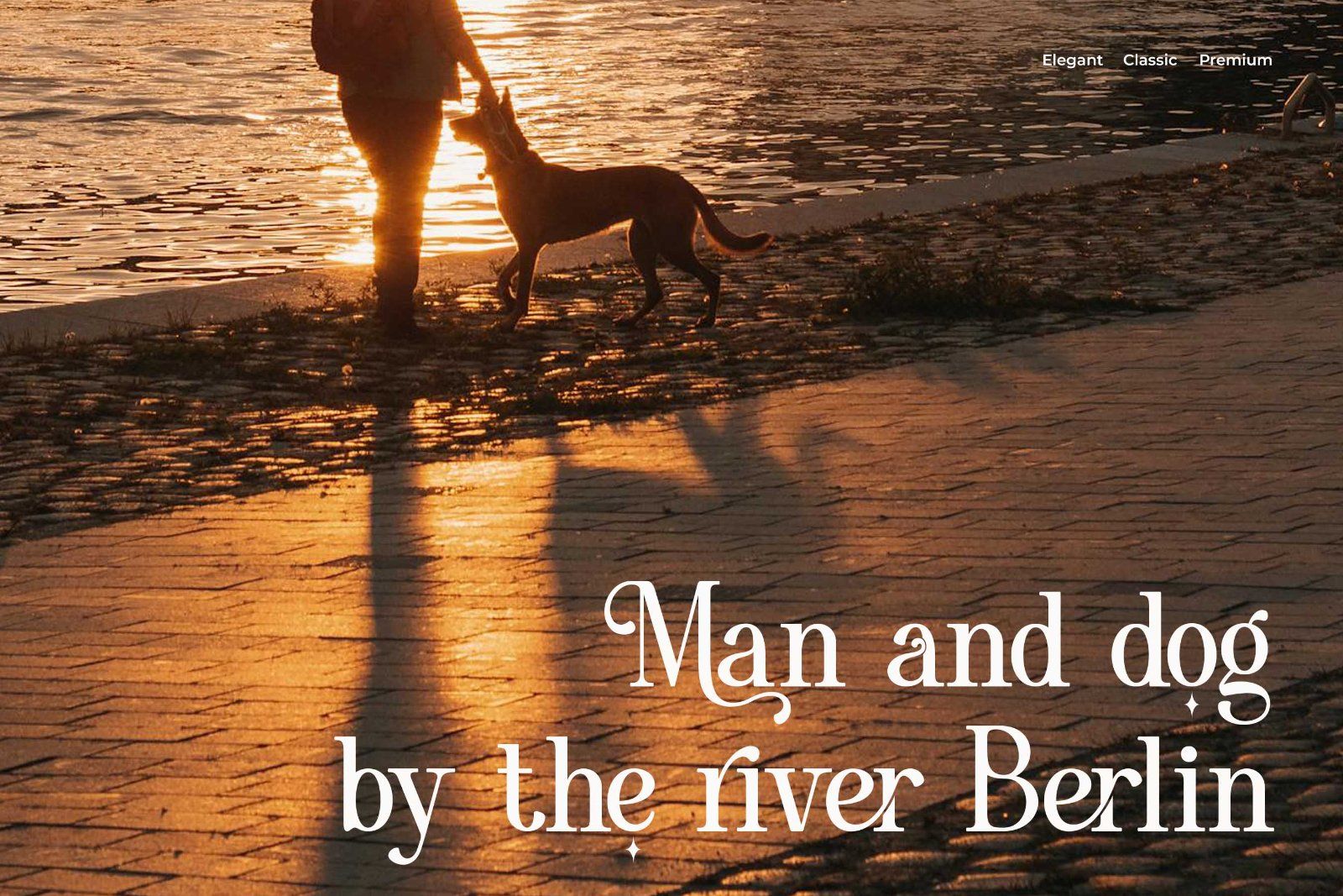 Vorina - Retro Serif Font — image 5