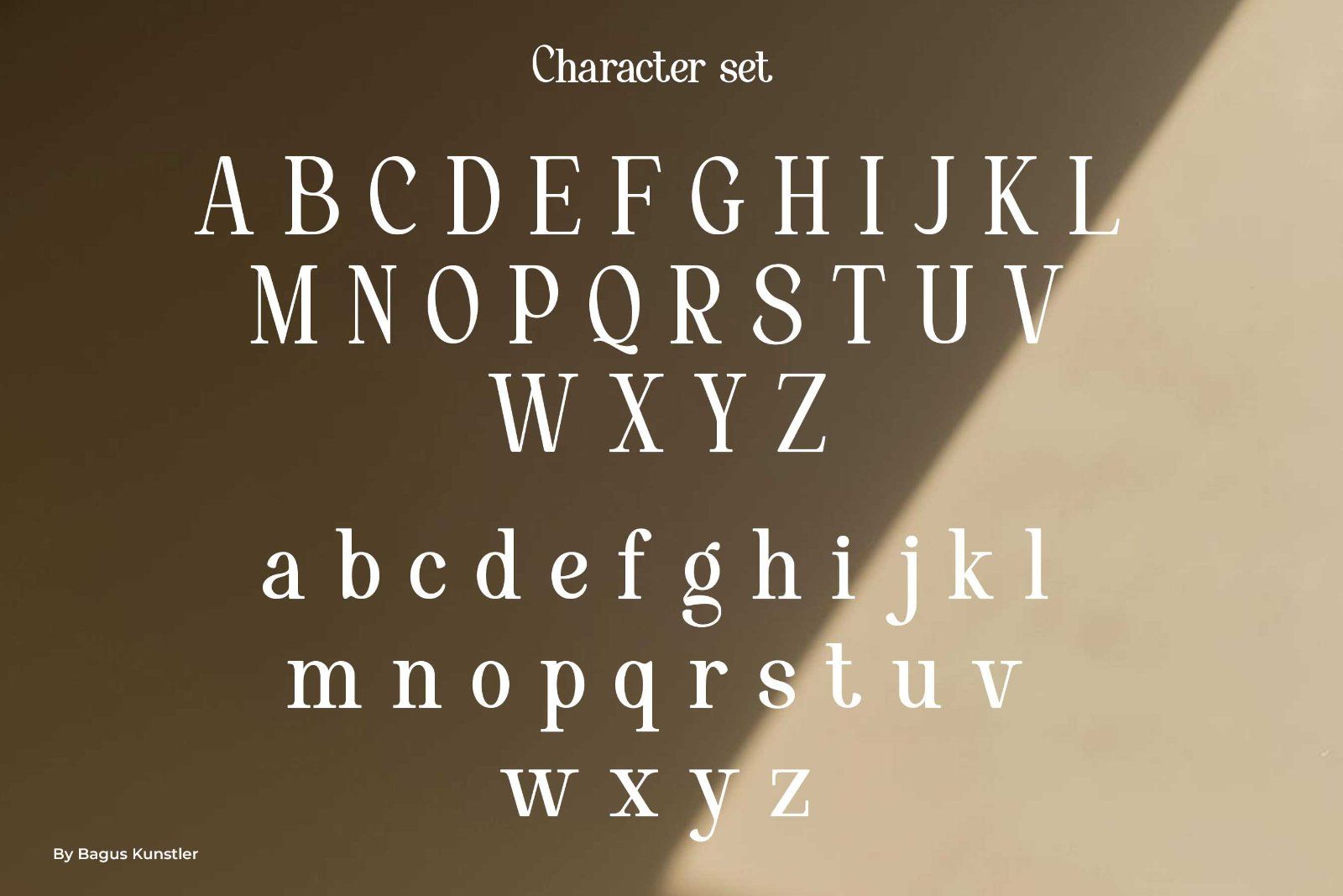 Vorina - Retro Serif Font — image 9