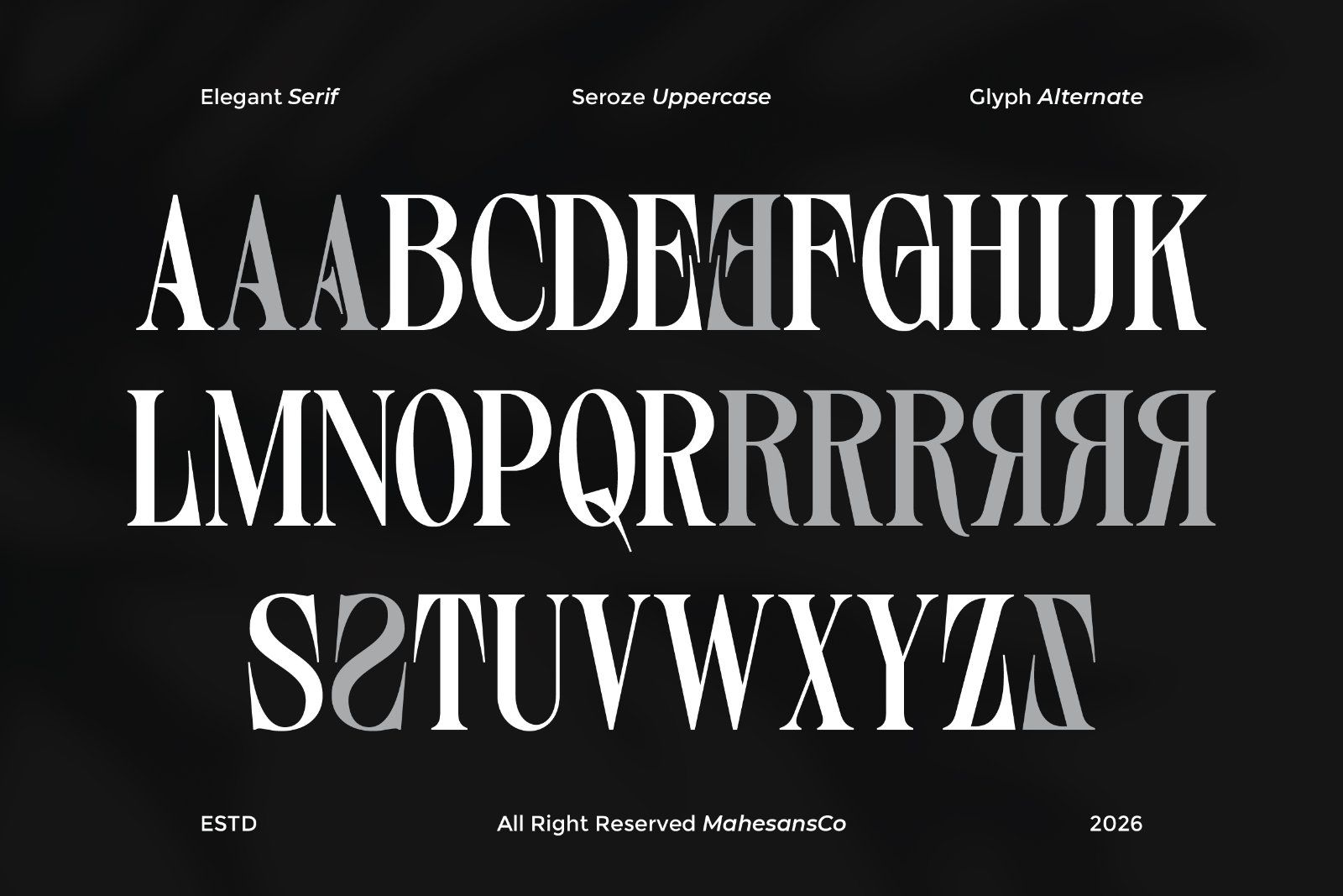 Seroze – Elegant Luxury Serif — image 8
