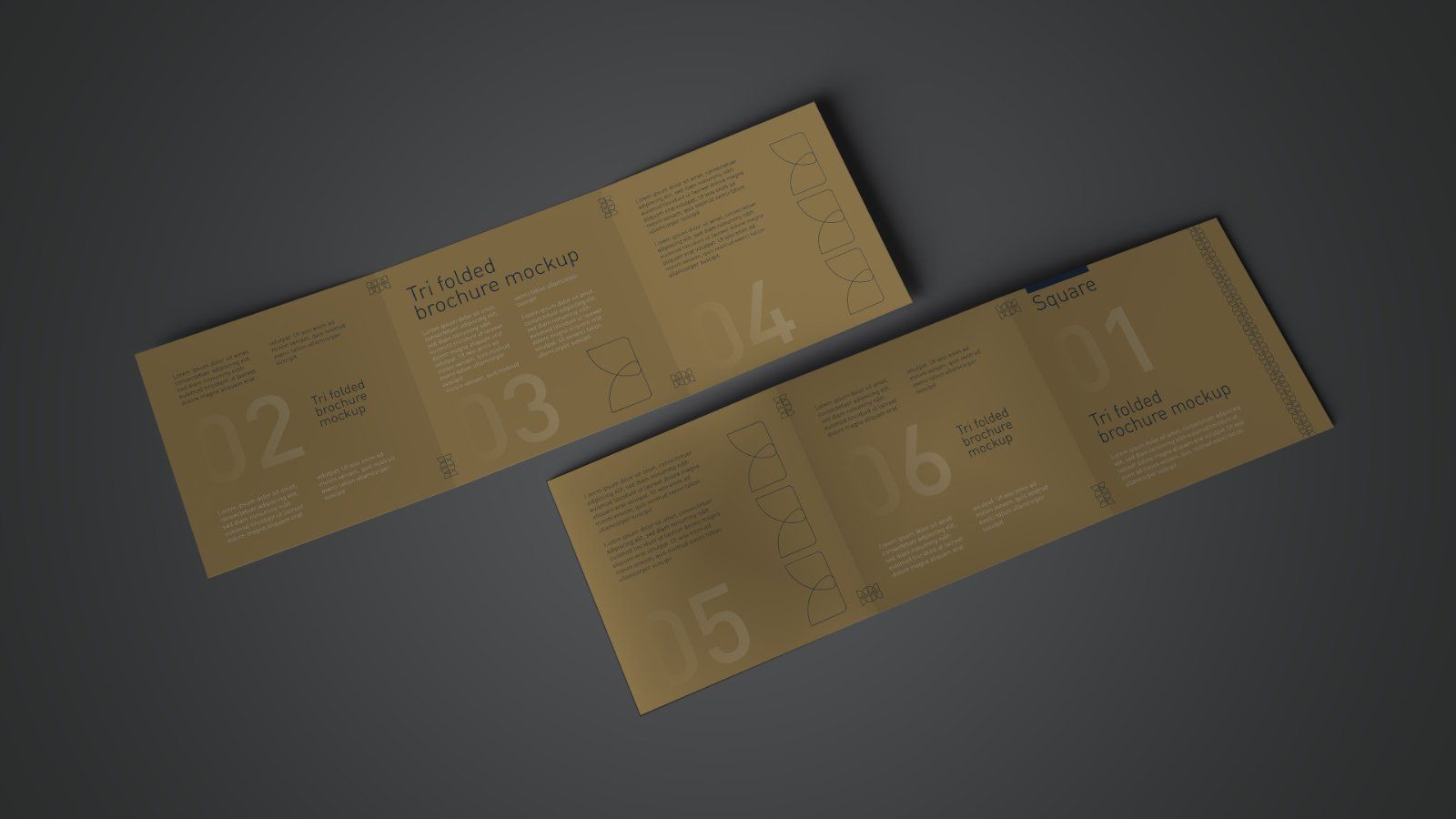 Square Tri Fold Brochure Mockup - 5 PSD Files Bundle — image 3