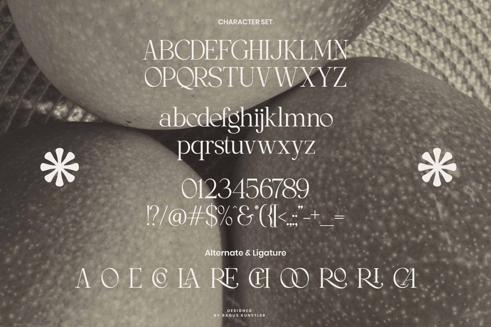 Moon Creme | Stylish and Beautiful Serif — image 10