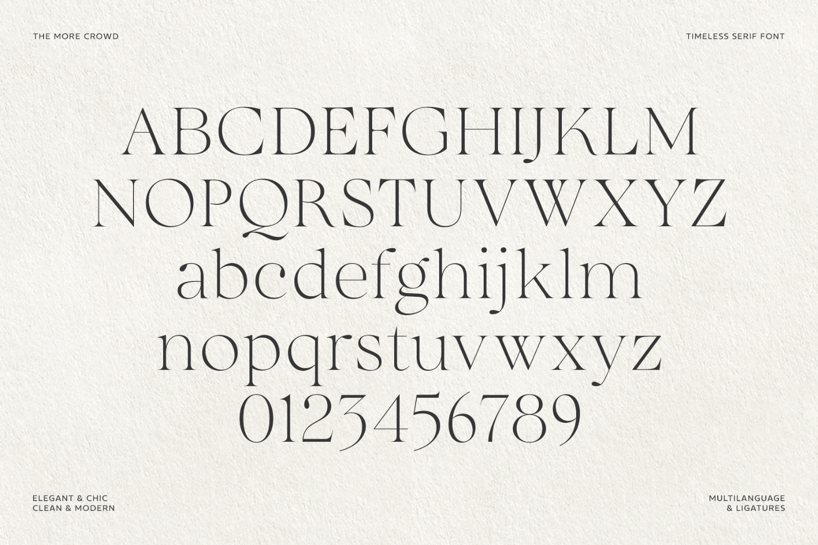 The More Crowd Serif — image 11