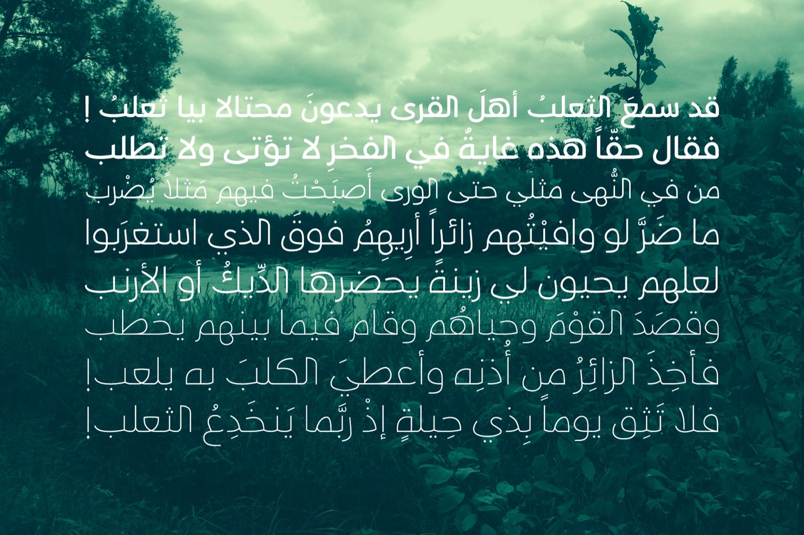 Taleeq - Arabic Typeface — image 3