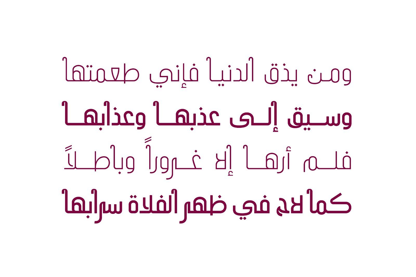 Tareef - Arabic Typeface — image 9