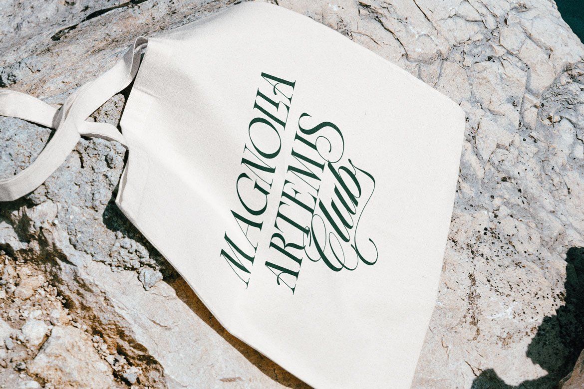 LT The Heistha Editorial – Font Duo — image 14