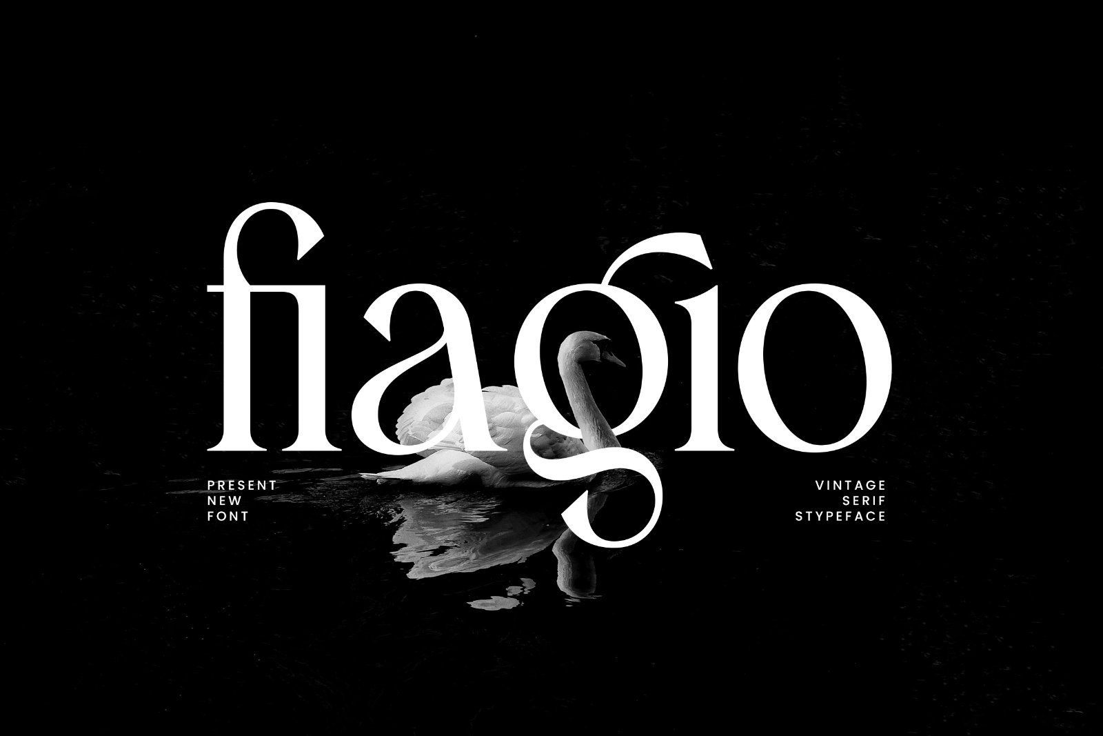 Fiagio – Elegant Vintage Serif — image 11