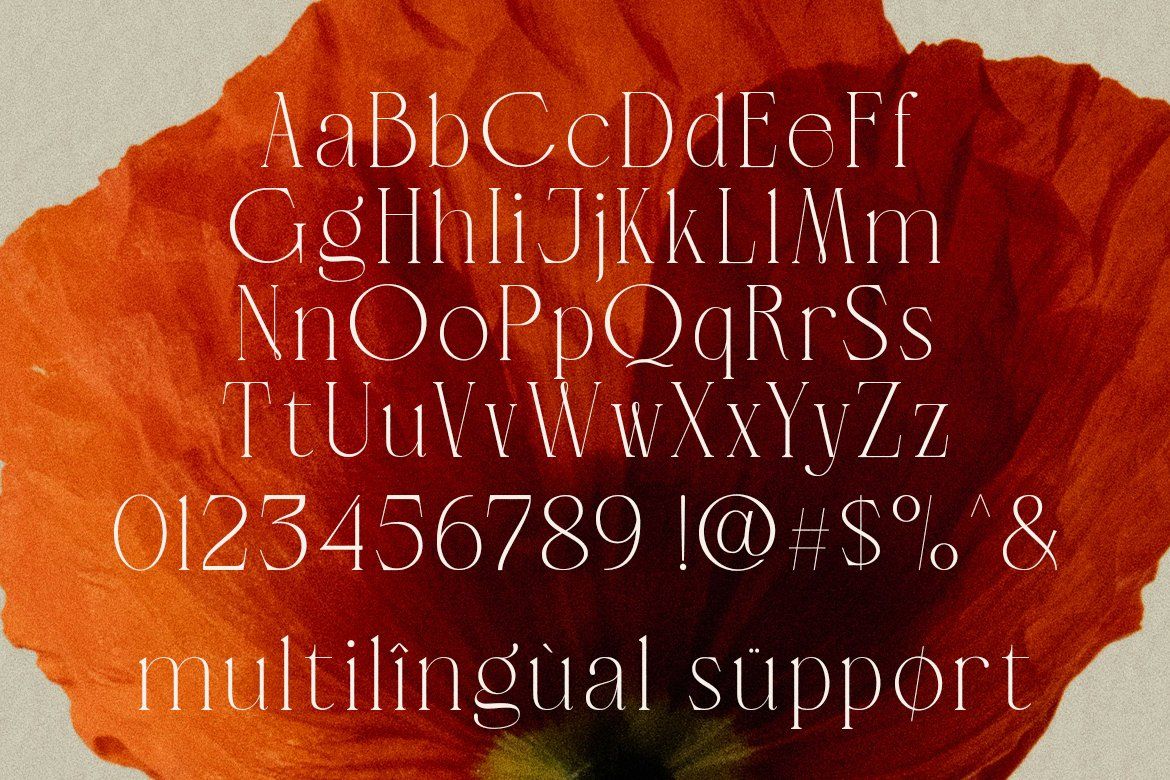 LT Verola – Rich Serif Ligature Typeface — image 11