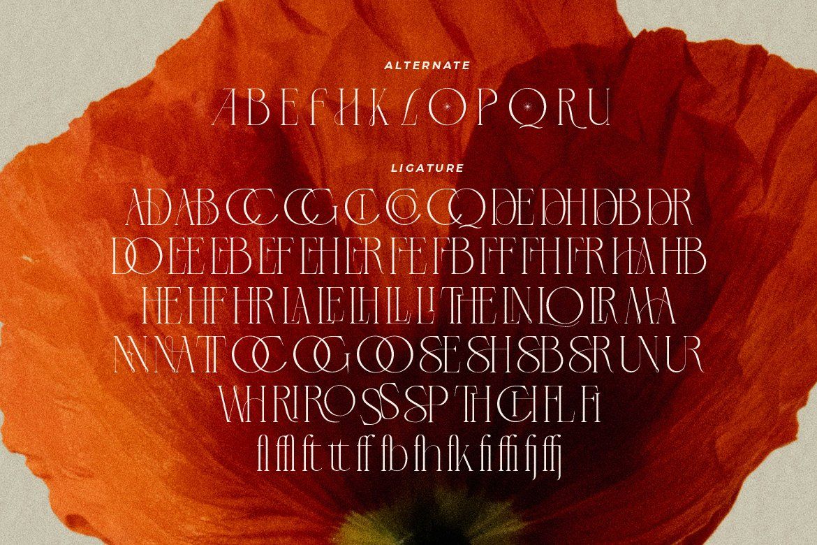 LT Verola – Rich Serif Ligature Typeface — image 12