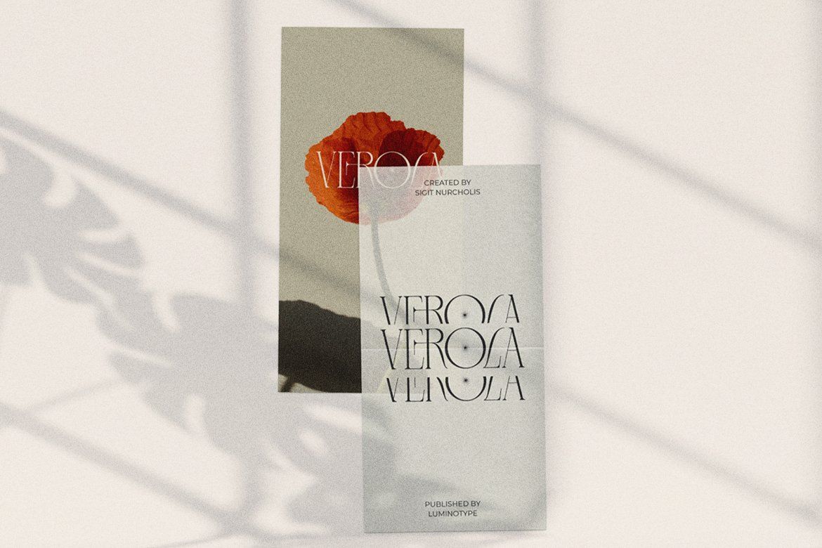 LT Verola – Rich Serif Ligature Typeface — image 14