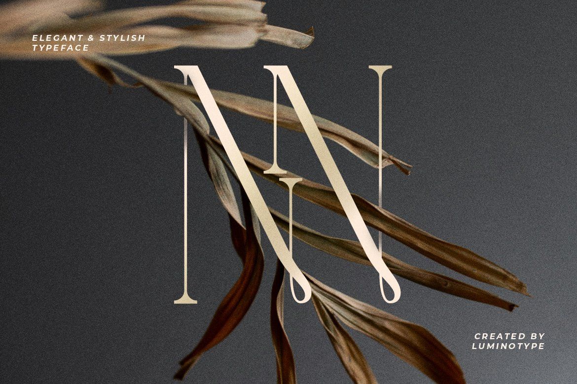 LT Verola – Rich Serif Ligature Typeface — image 9