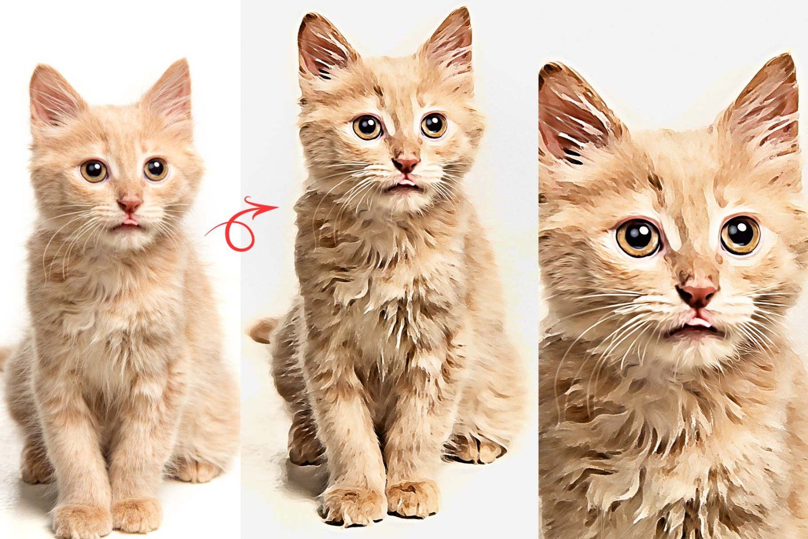 Vibrant Oil Paint Photoshop Action — image 5