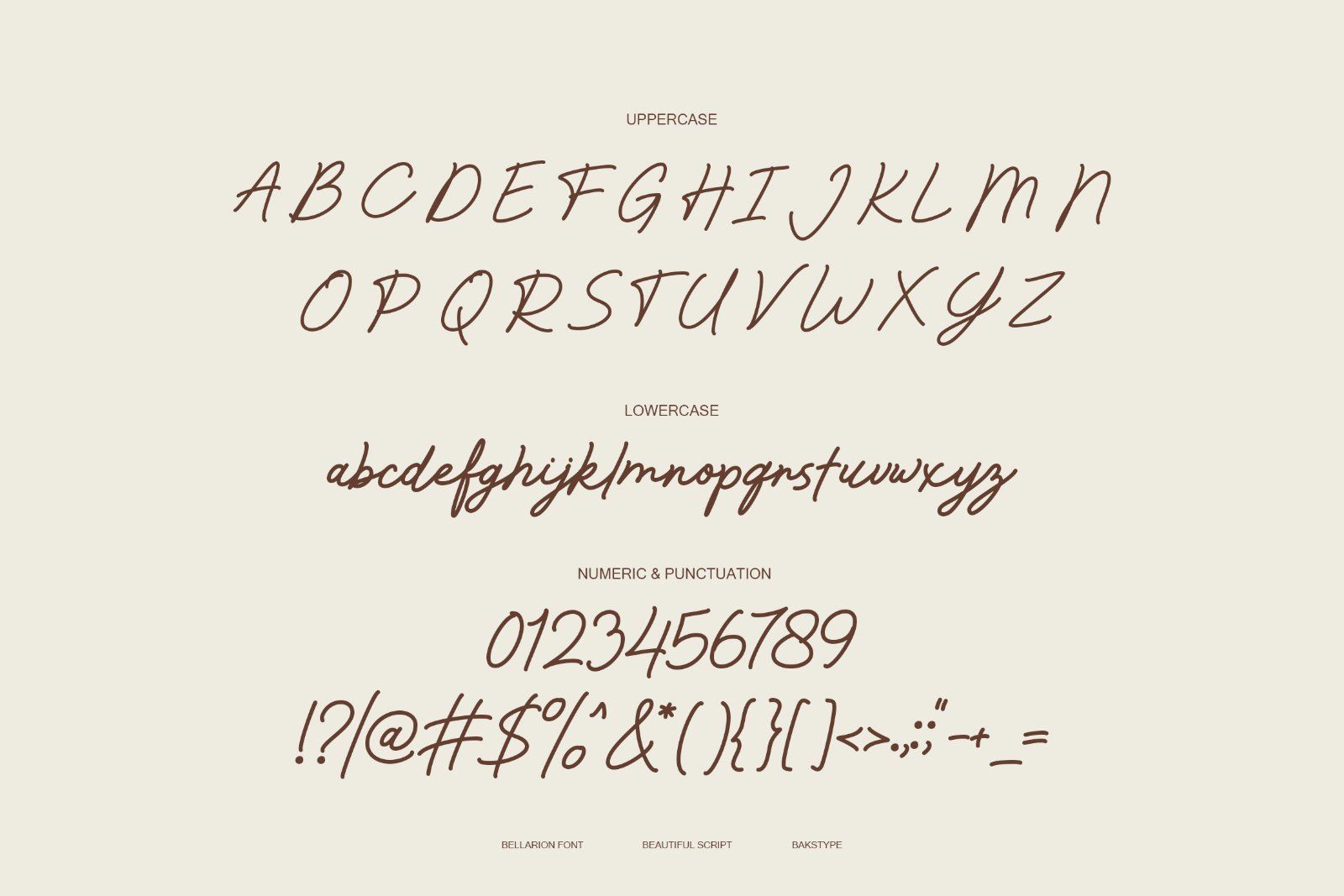 Bellarion | Beautiful Script Font — image 10