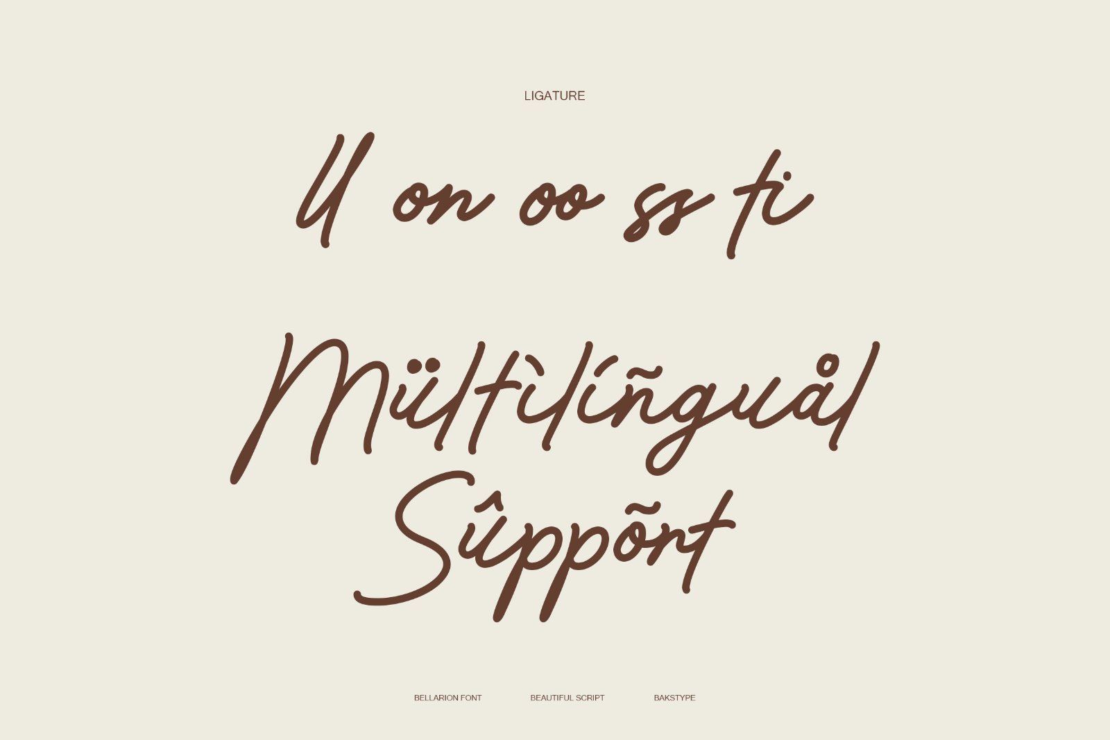 Bellarion | Beautiful Script Font — image 9