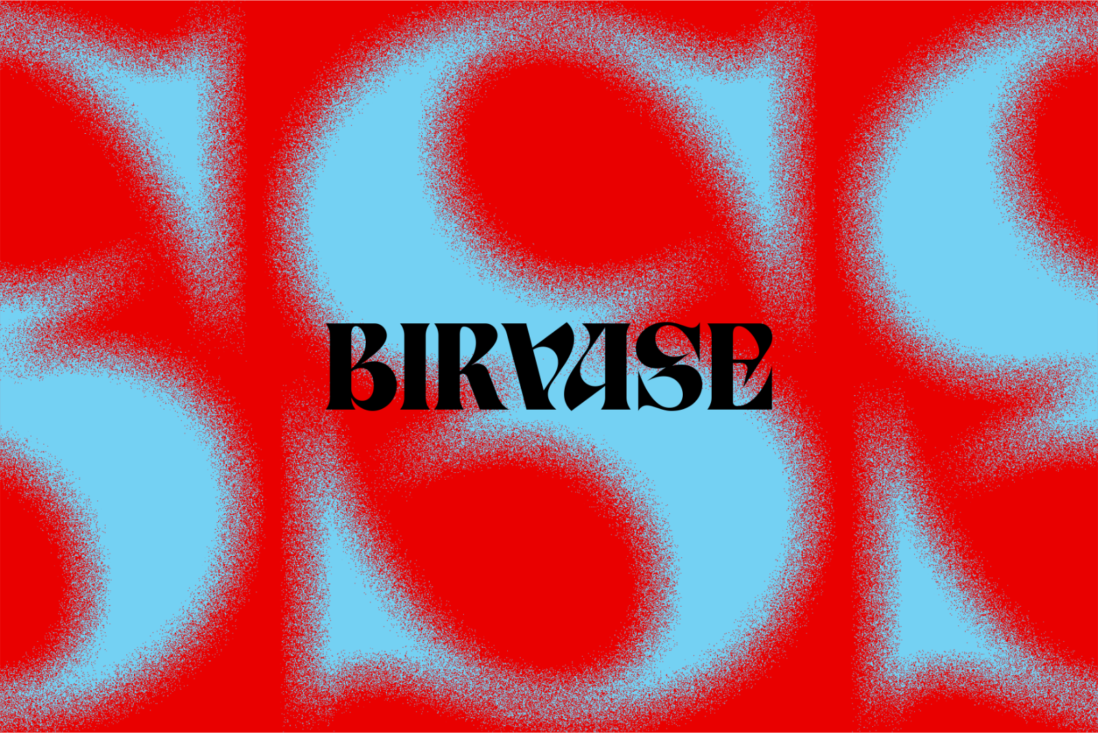 Birvase — image 12