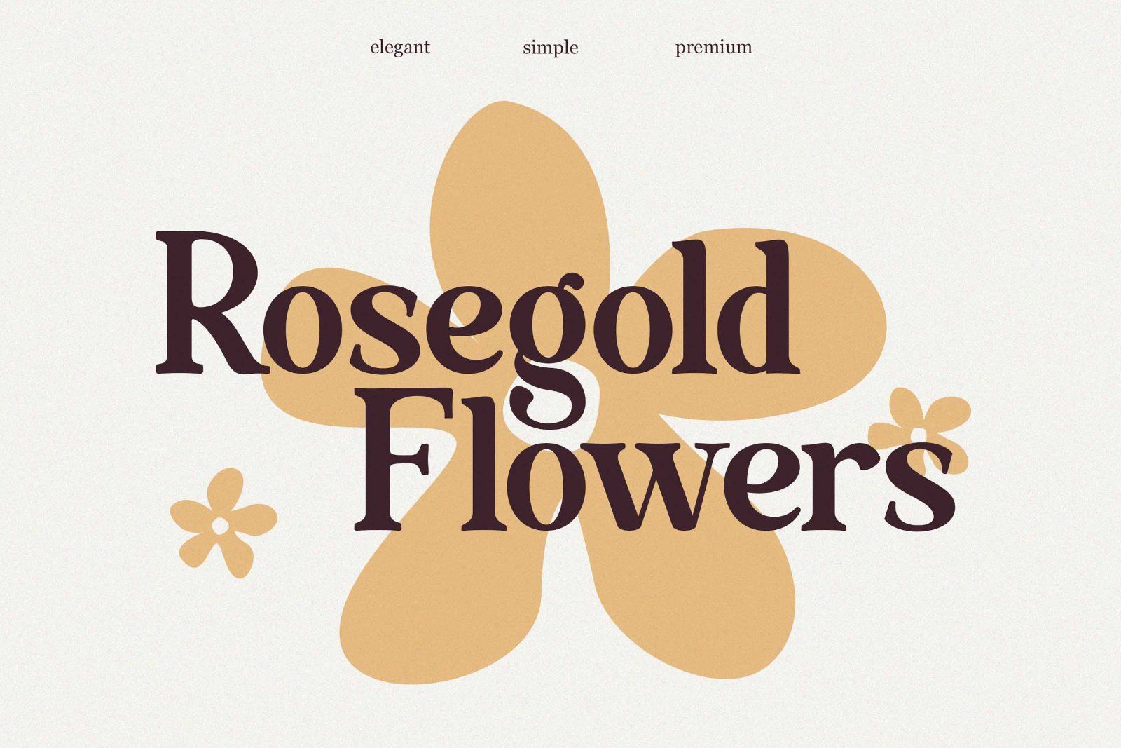 Exclusive Serif Retro Bundle — image 2