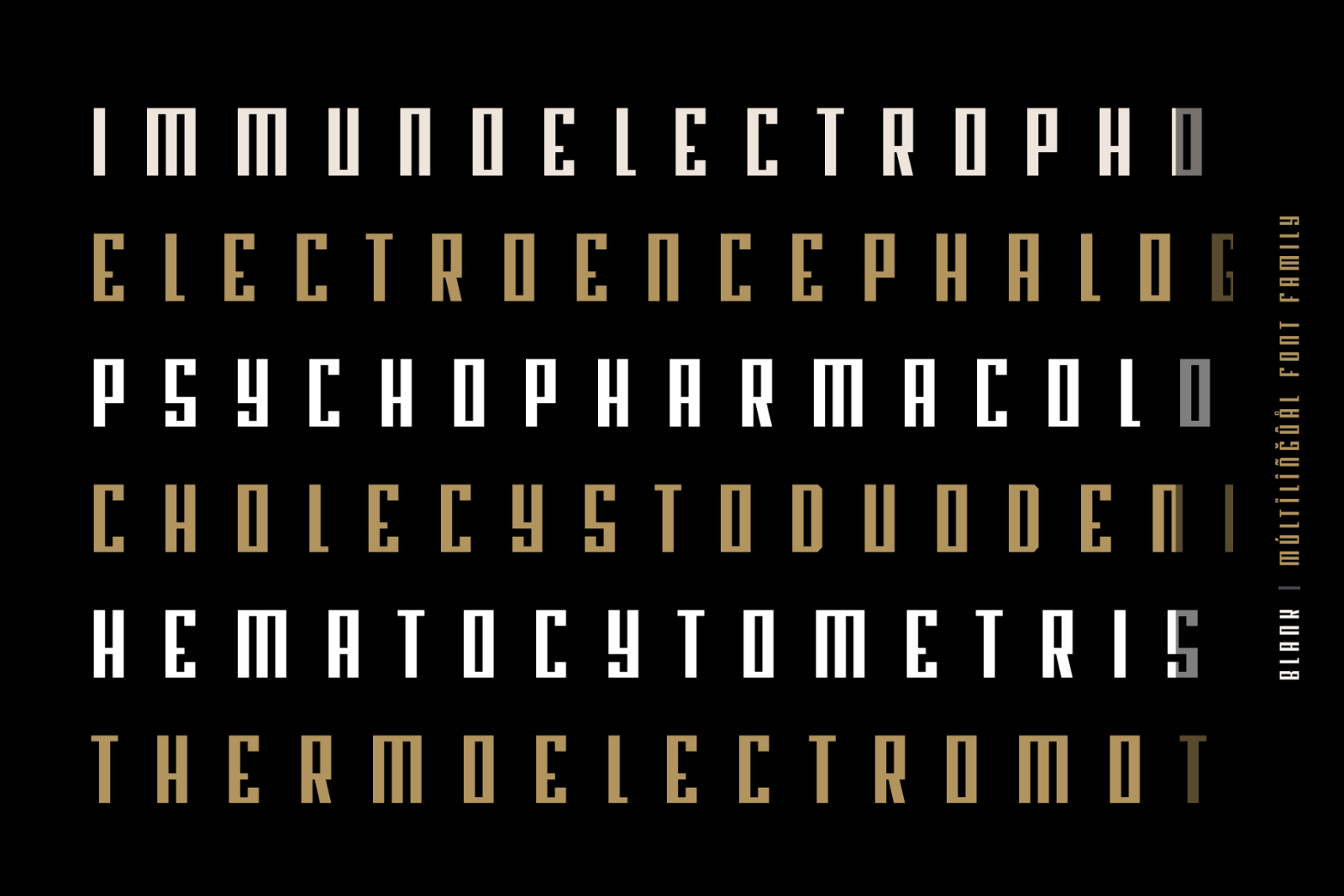Blank - Modern Font Family - 36 Fonts — image 10