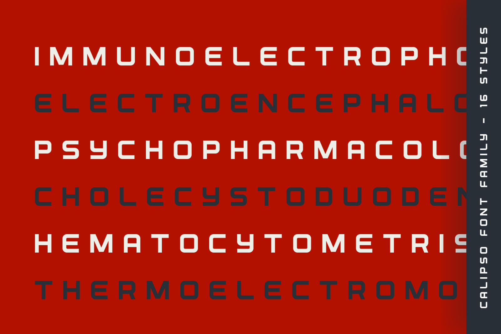 Calipso - Display Font Family - 16 Fonts — image 10