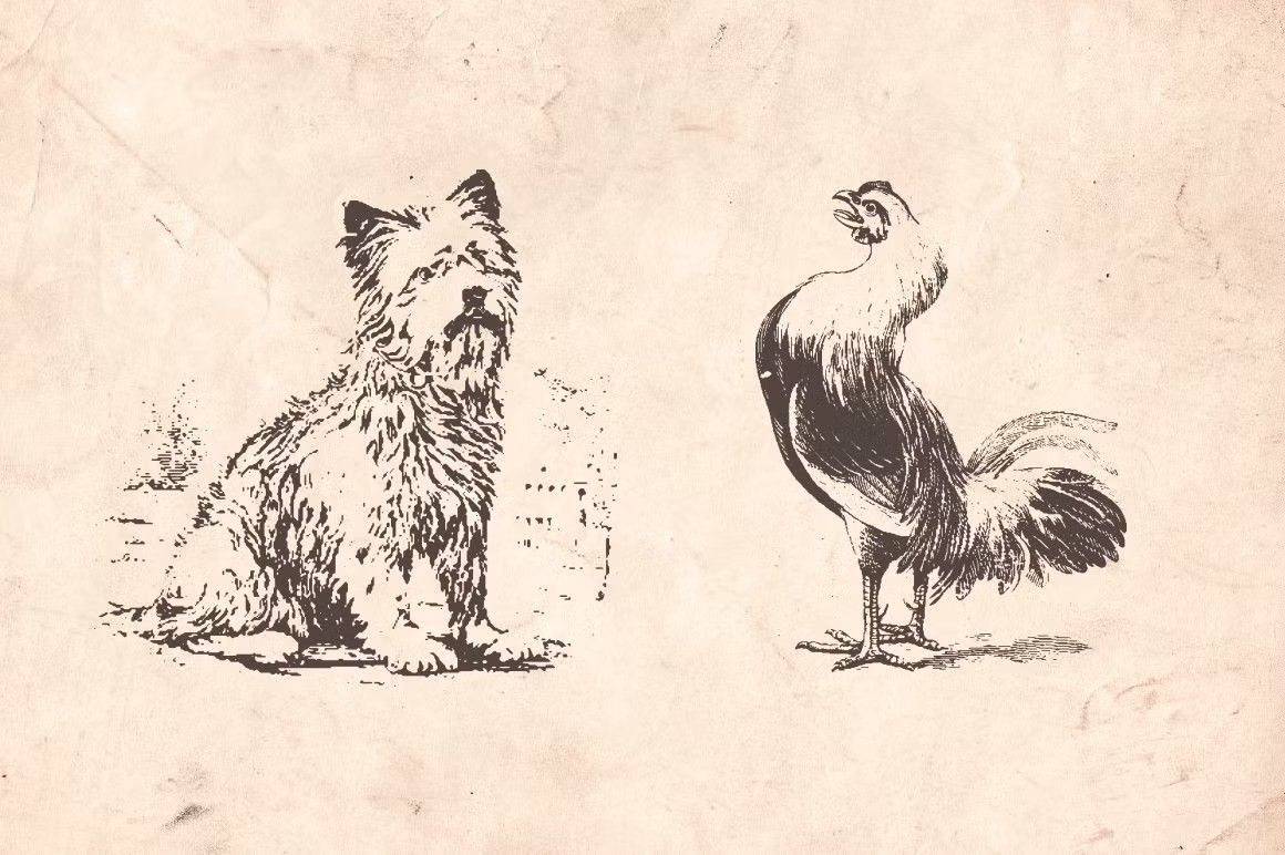 Vintage Animal Farm — image 4