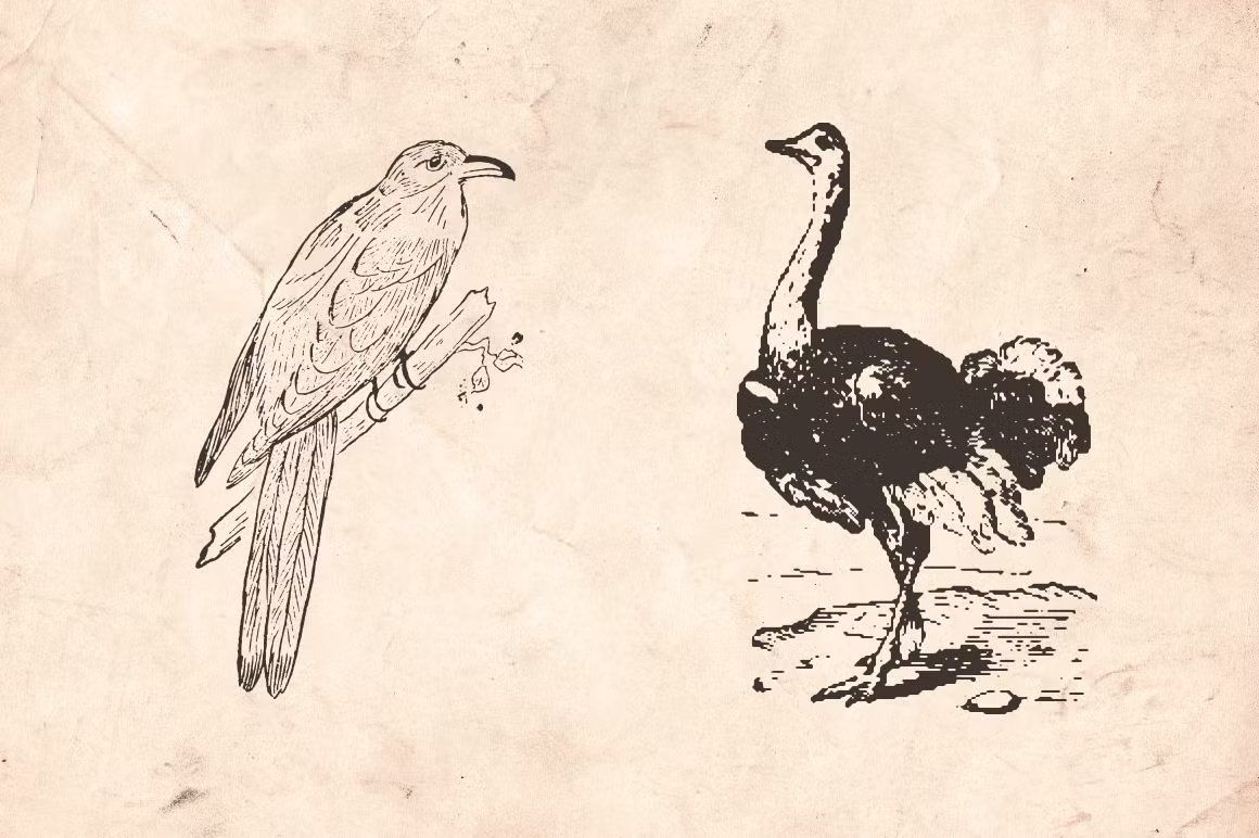 Vintage Animal Farm — image 1