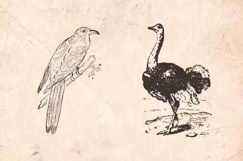 Vintage Animal Farm