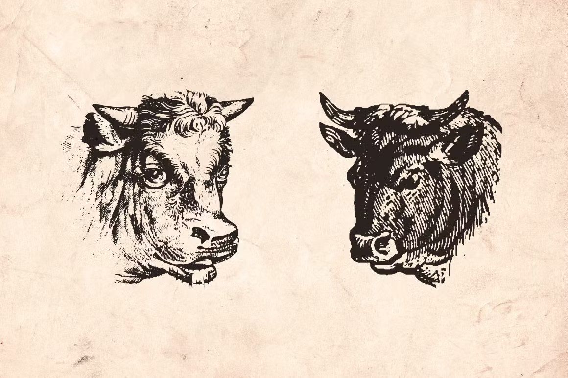 Vintage Animal Farm — image 2