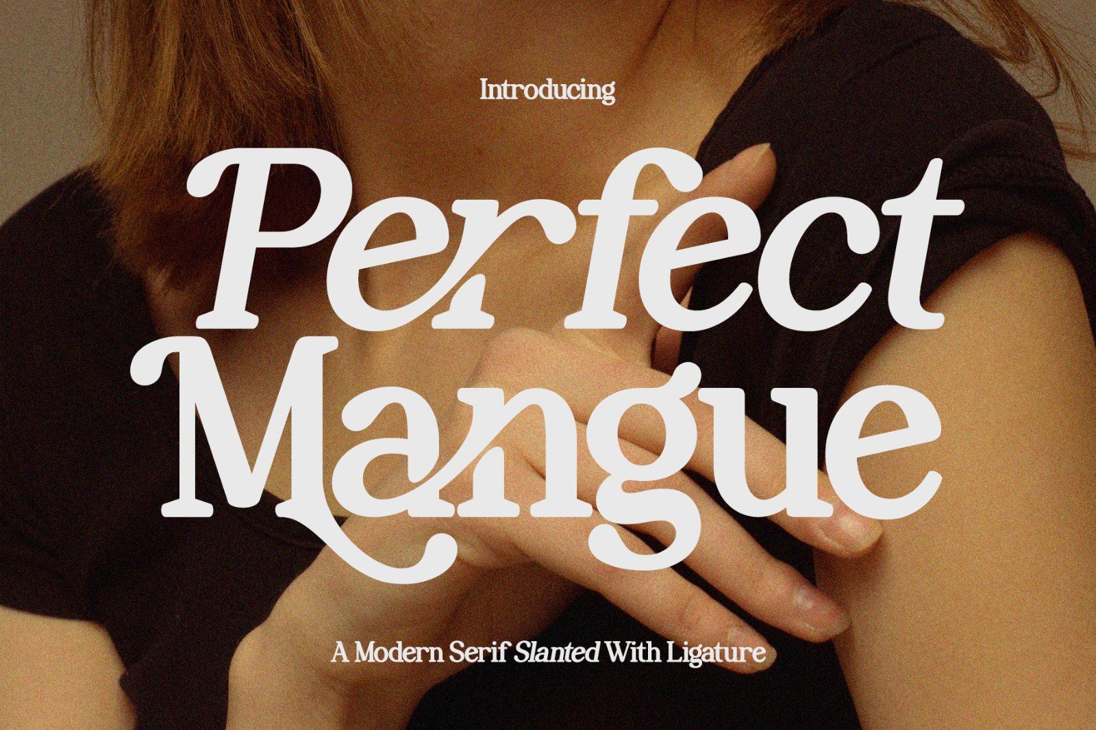 Perfect Mangue | Serif Duo Font — image 1