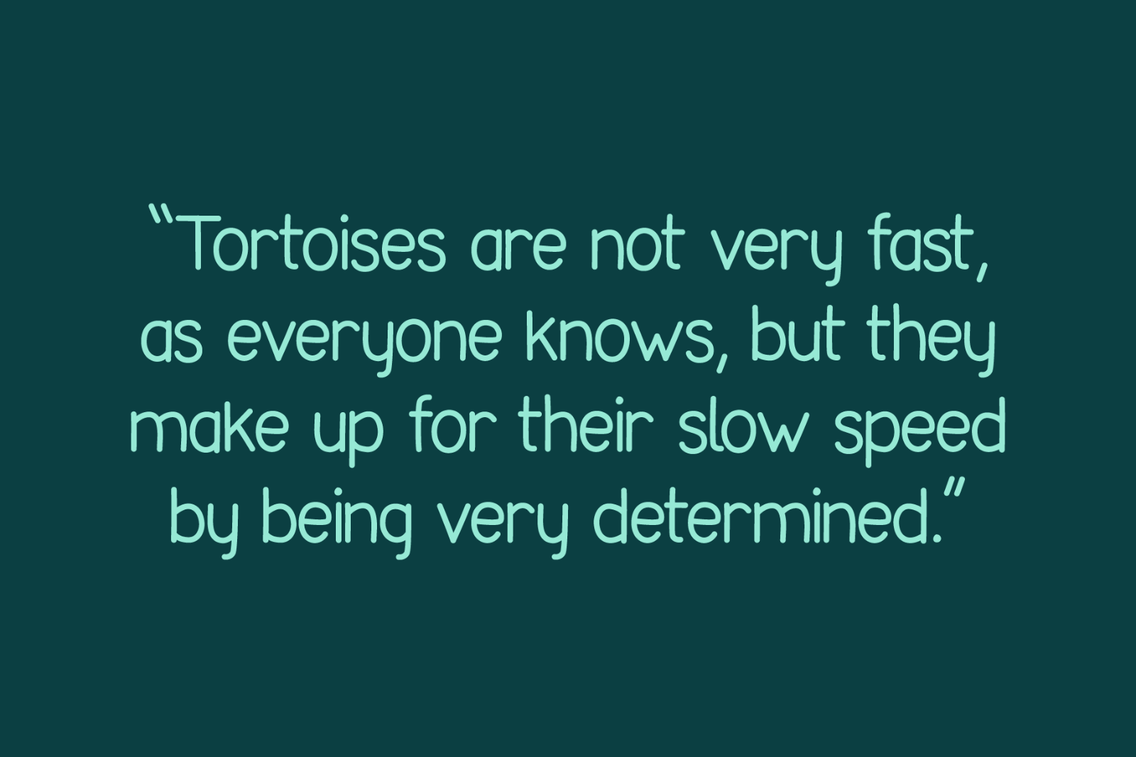 Tortoise - Handwritten Font Family — image 9