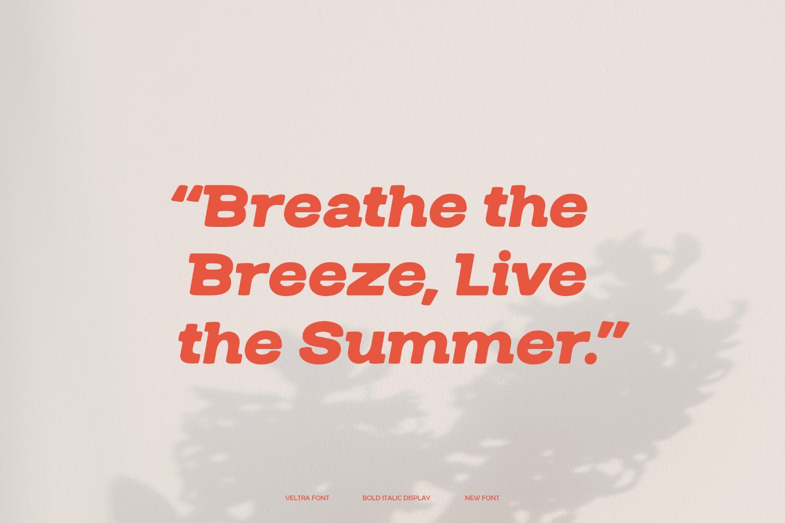 Veltra | Bold Italic Display — image 8