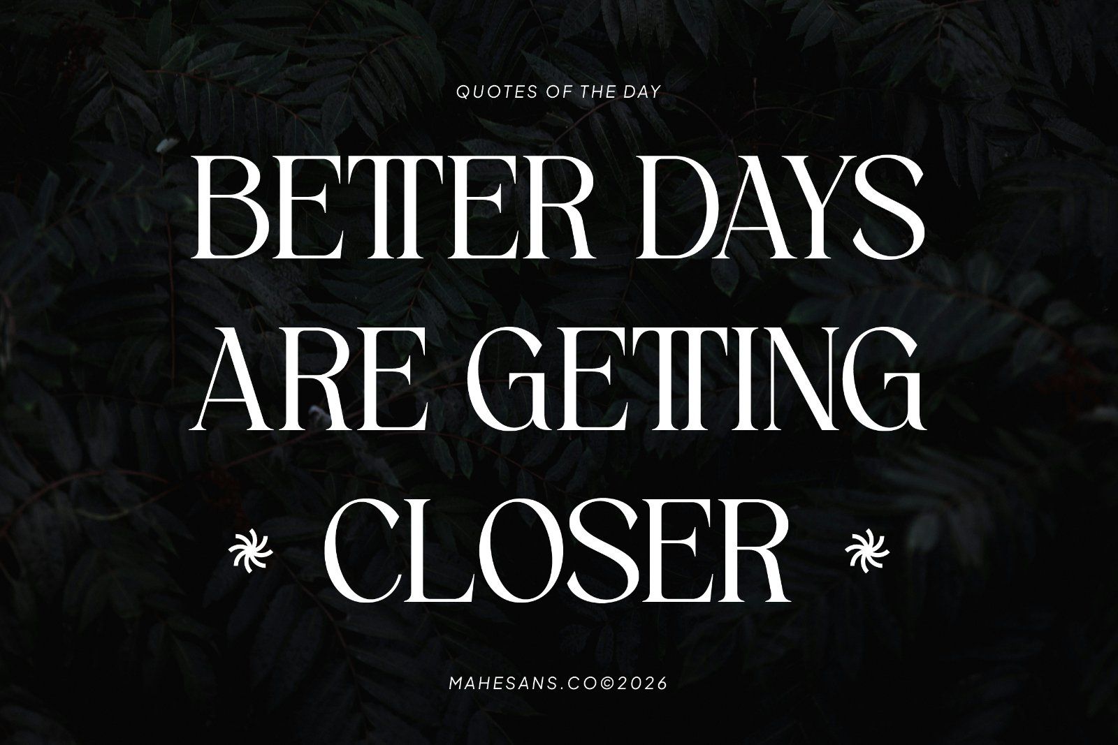 Fiagio – Elegant Vintage Serif — image 4