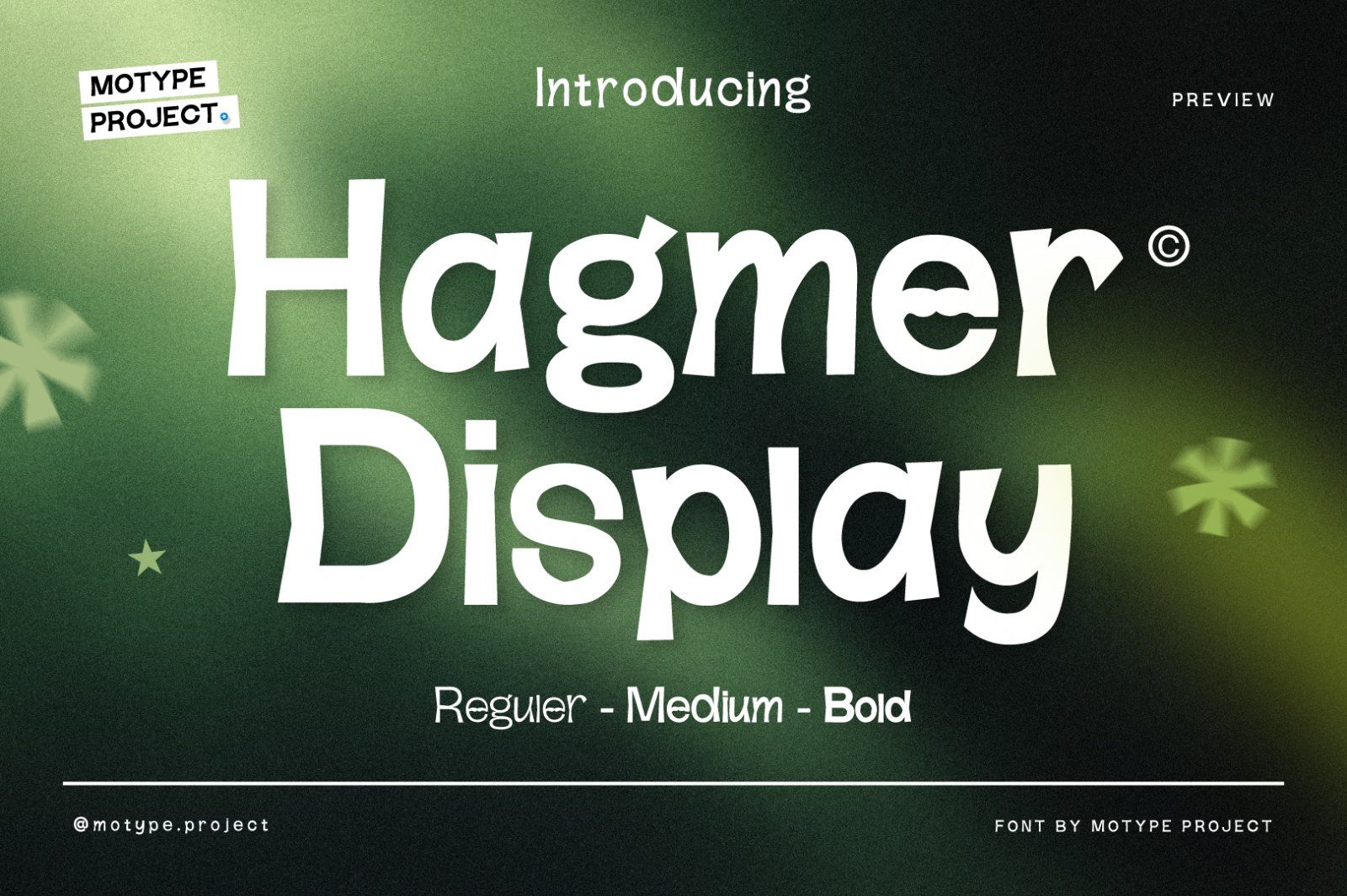 Hagmer Display — image 1