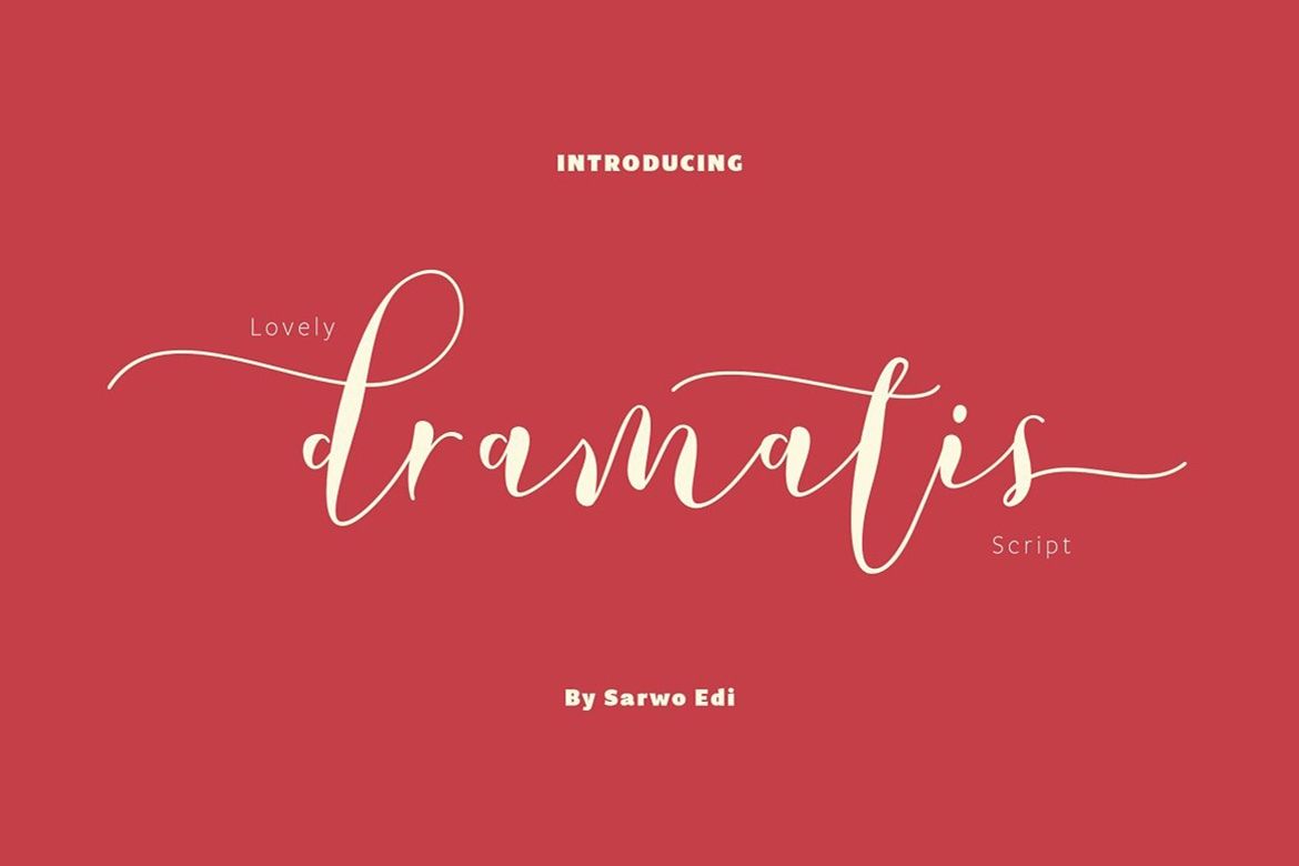 Commercial Font Bundle by Saffatin Co — image 6
