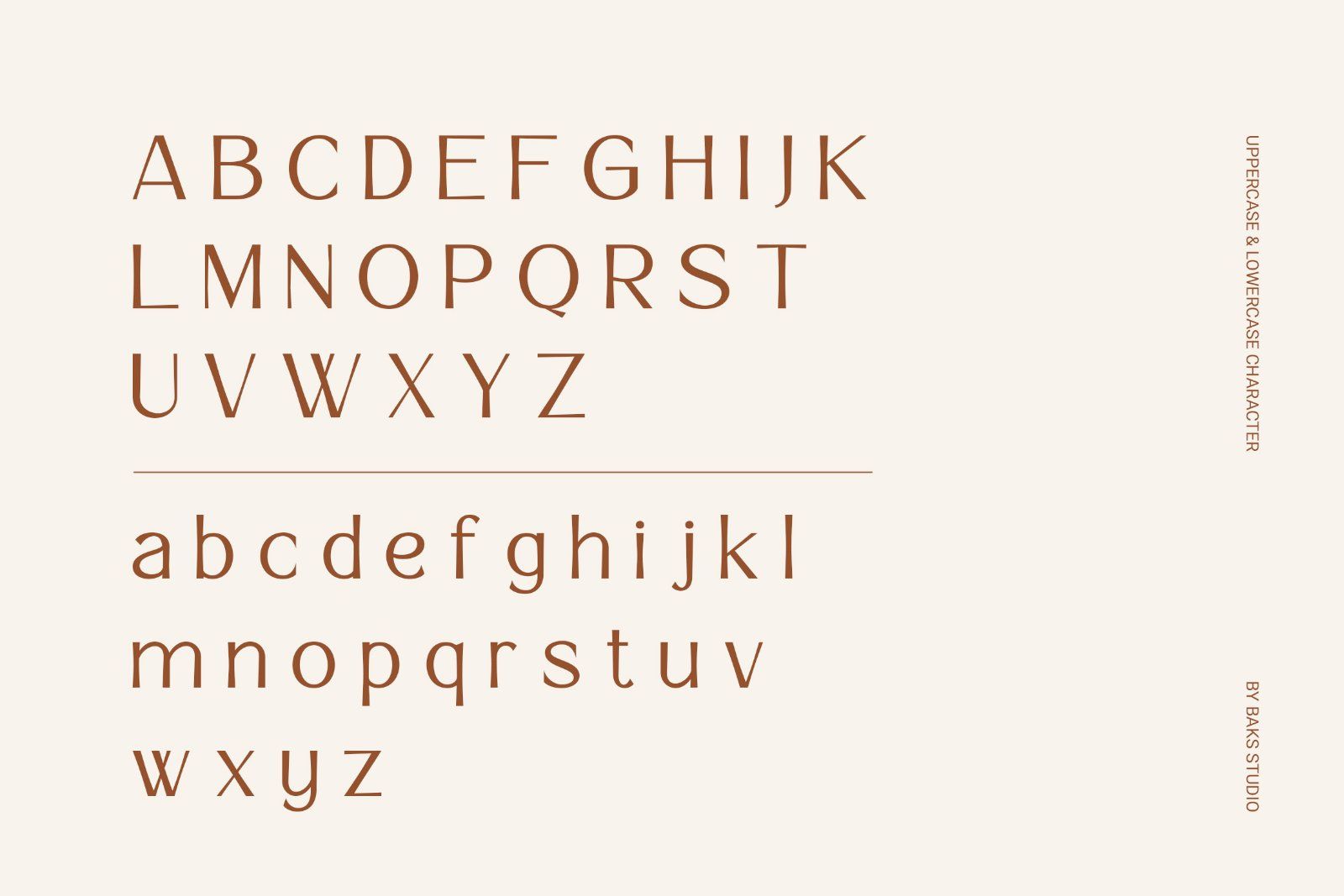 Elvera | Premium & Luxury Sans — image 10