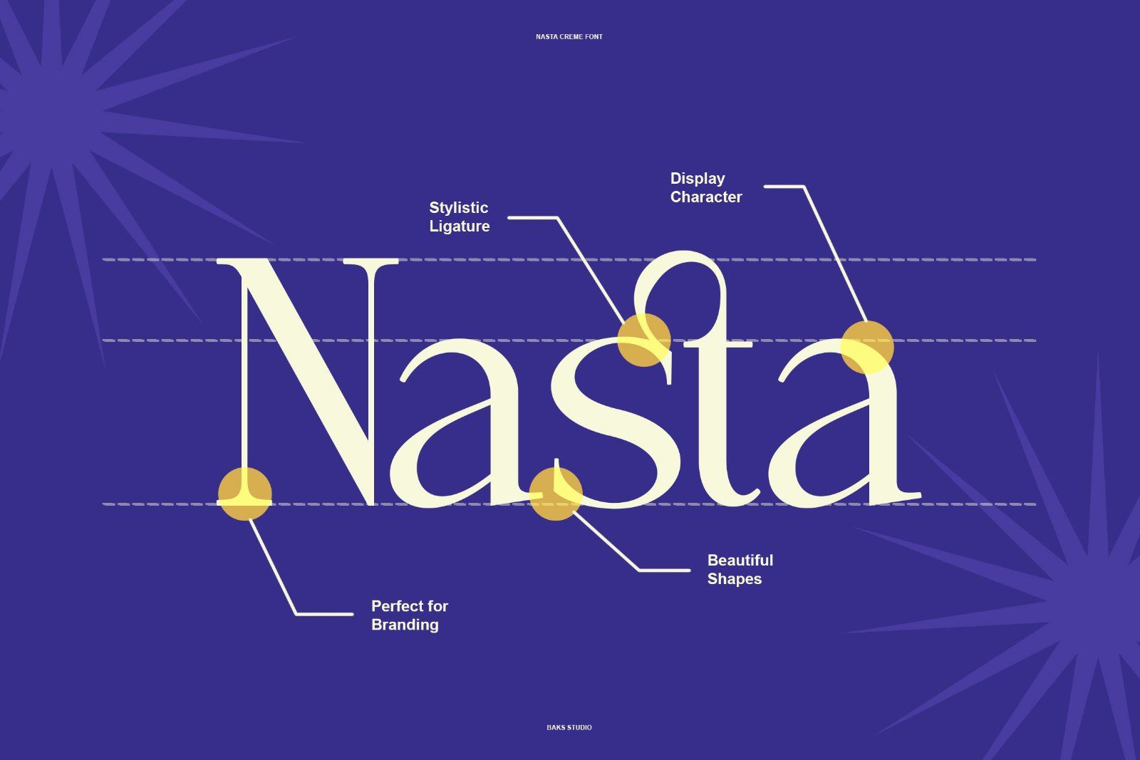 Nasta Creme | Modern Retro Serif Typeface — image 5