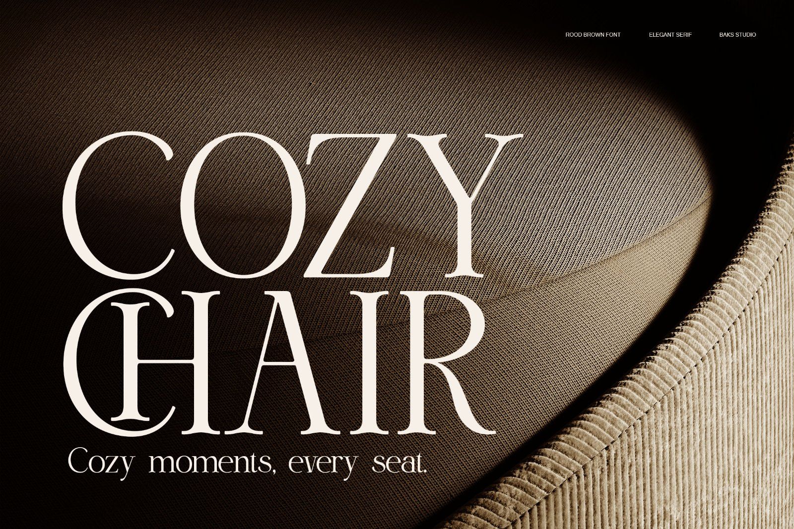 Rood Brown | Modern and Elegant Serif — image 2
