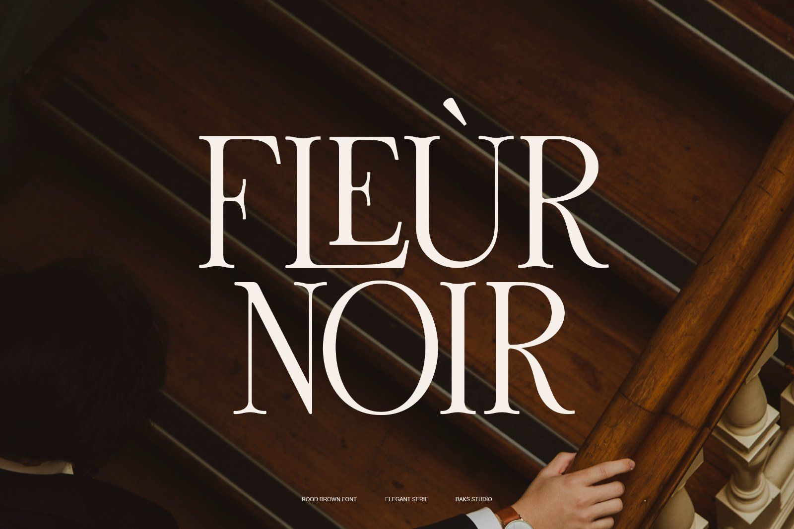 Rood Brown | Modern and Elegant Serif — image 3