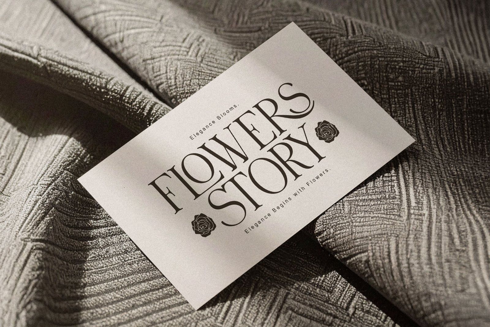 Rood Brown | Modern and Elegant Serif — image 5