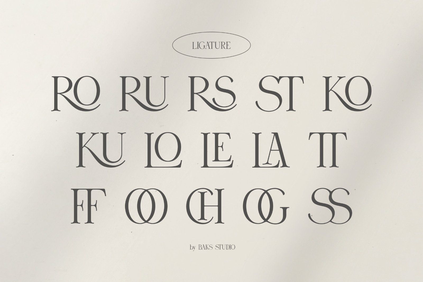 Rood Brown | Modern and Elegant Serif — image 9