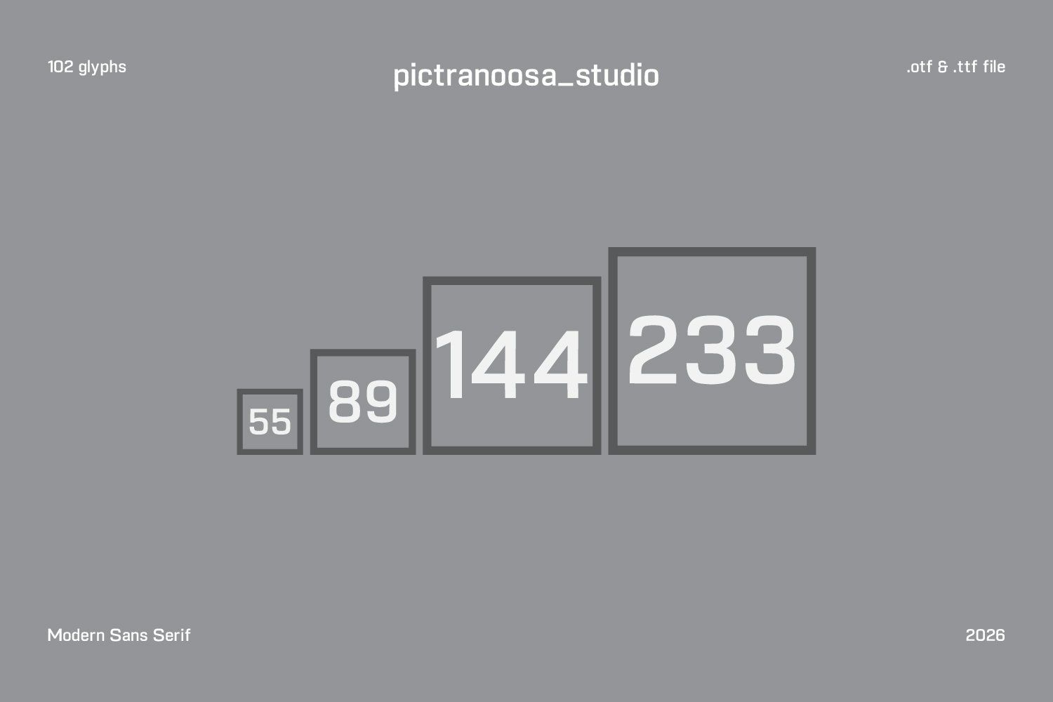 Nityaa modern sans serif — image 4