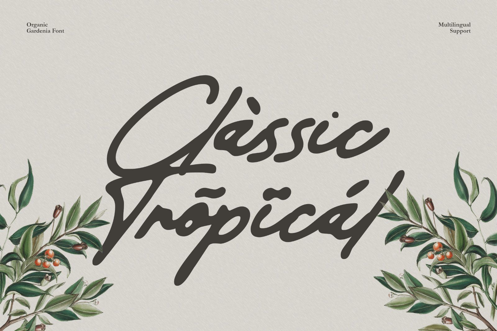 Organic Gardenia - Old Handwritten Script Font — image 9